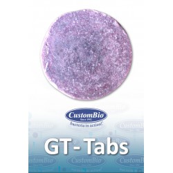 GT Tabs